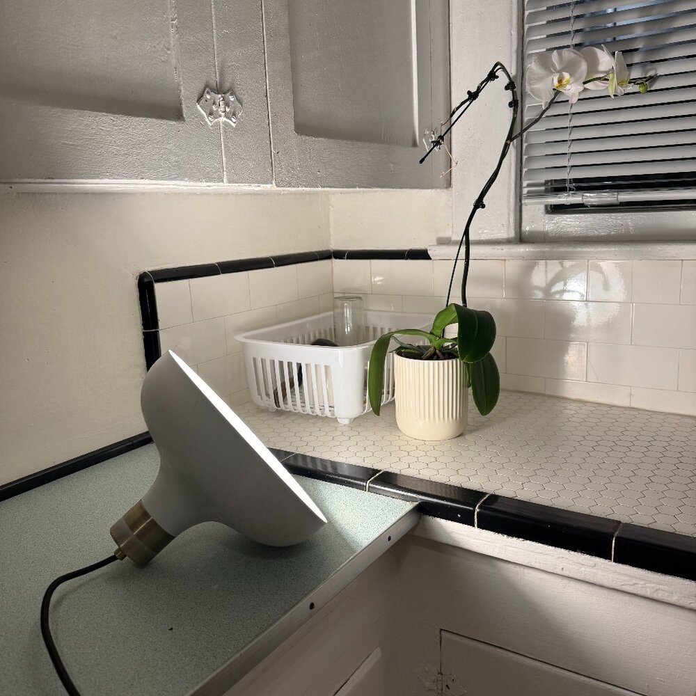 Modern White Pendant Lamp w/ Long Cord Photo Studio Lighting